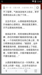 爱游戏体育app意甲的赞助商